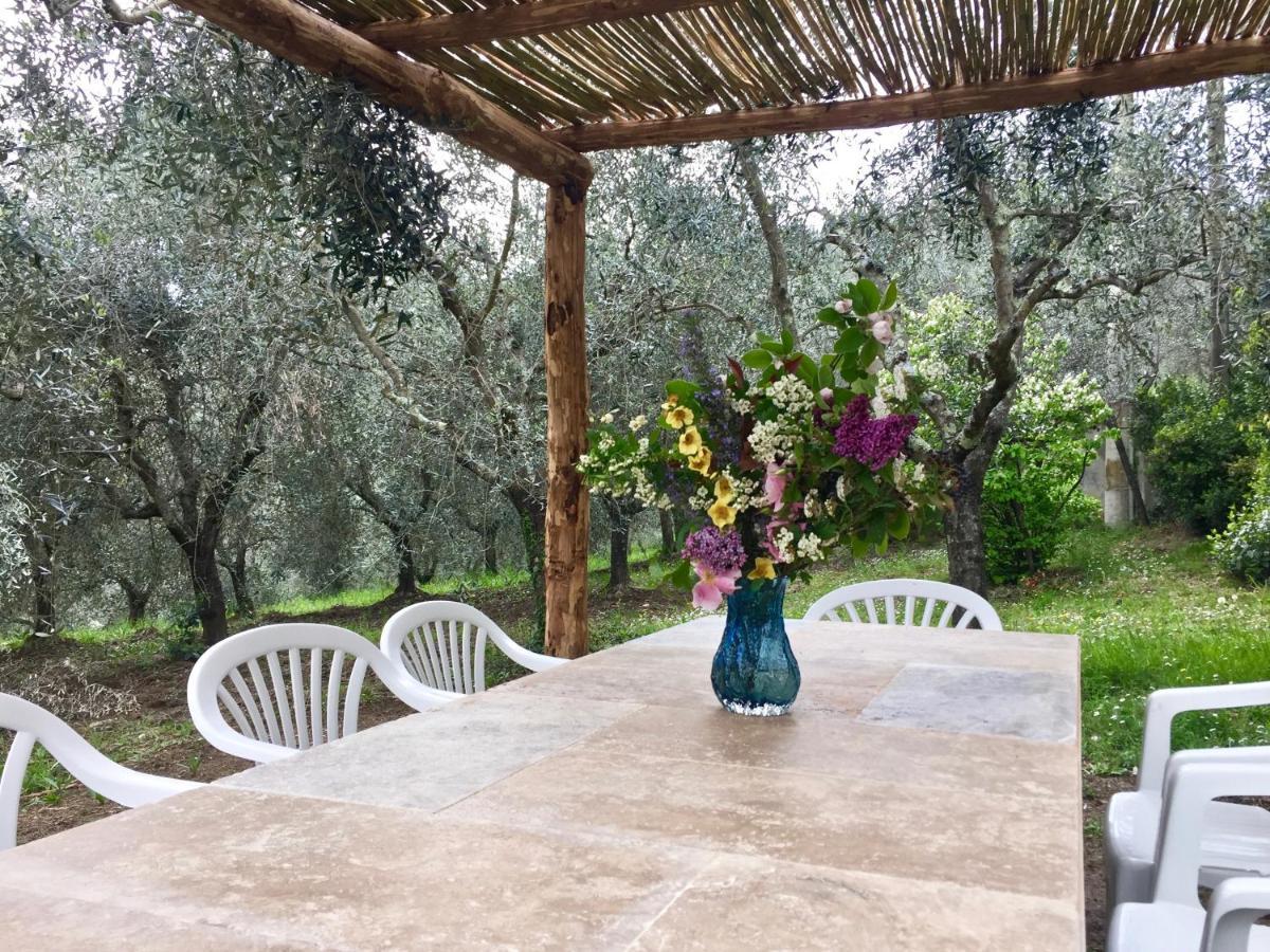 Agriturismo Fattoria Celle Figline Valdarno Ngoại thất bức ảnh