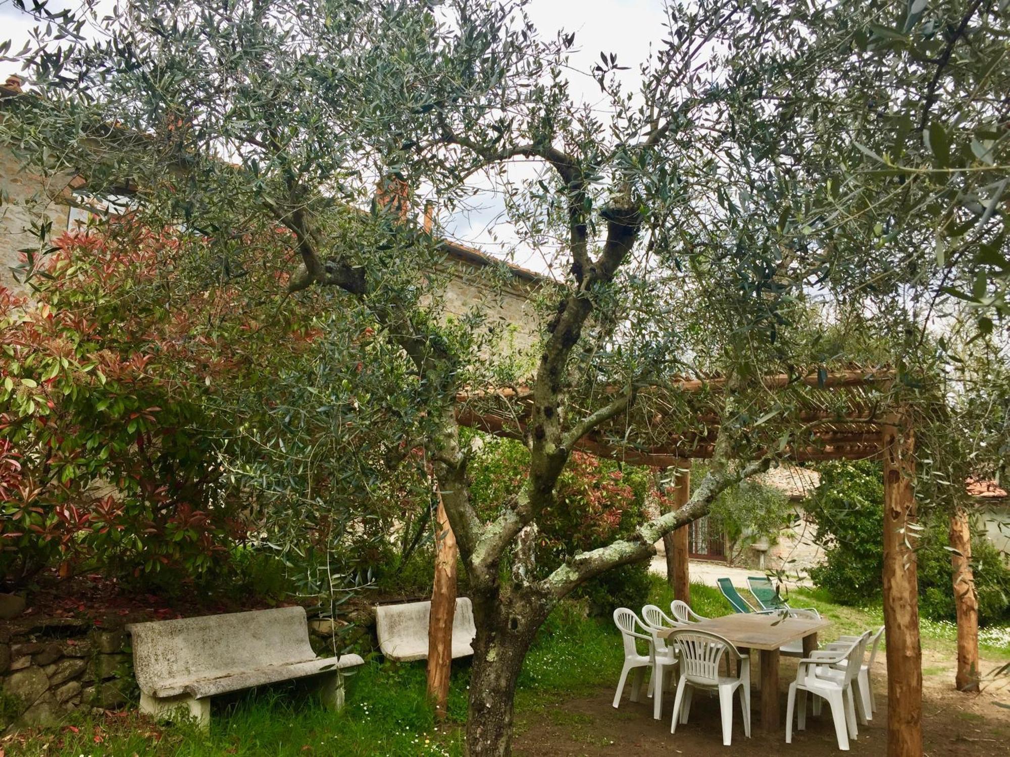 Agriturismo Fattoria Celle Figline Valdarno Phòng bức ảnh