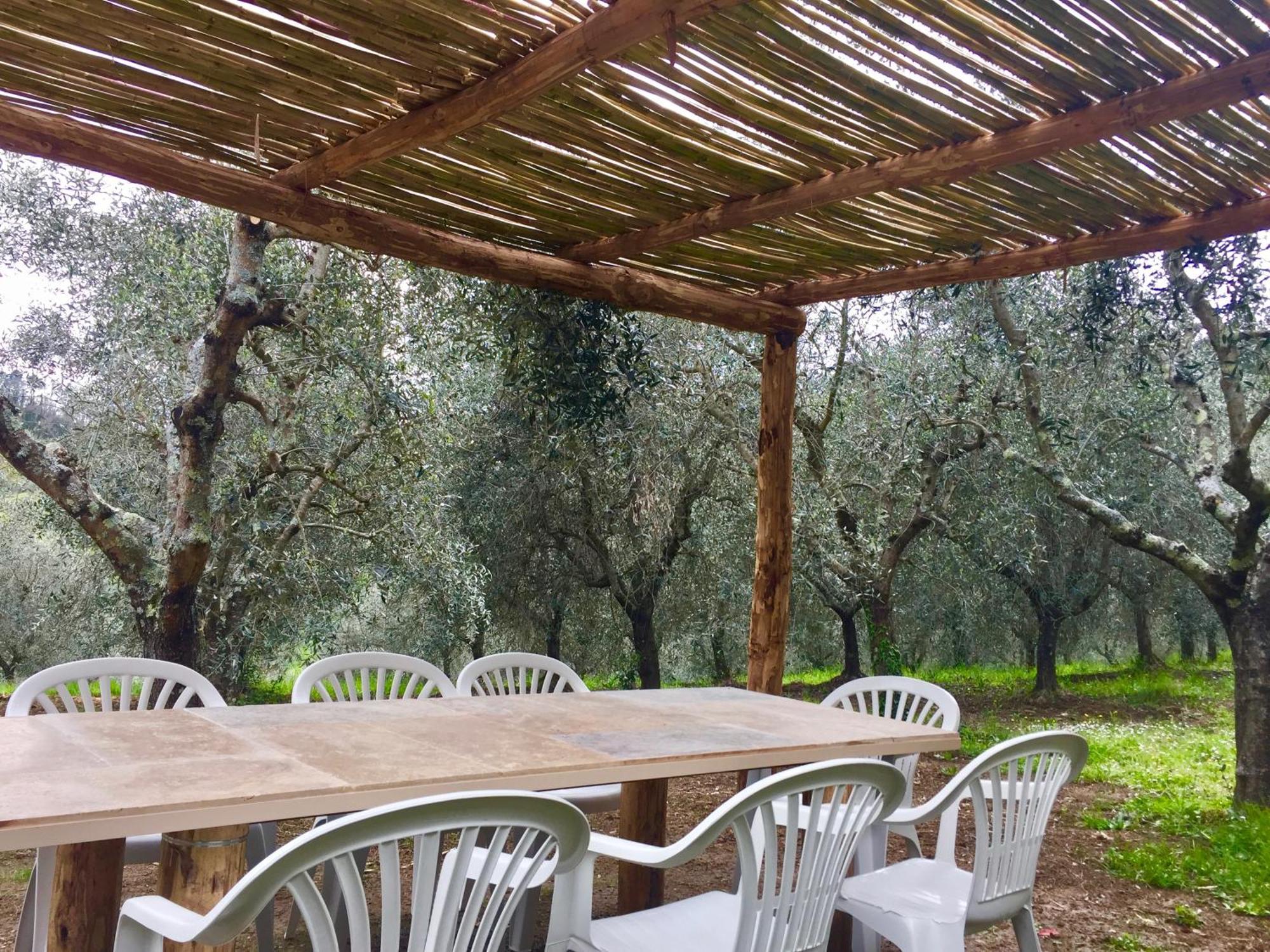 Agriturismo Fattoria Celle Figline Valdarno Phòng bức ảnh