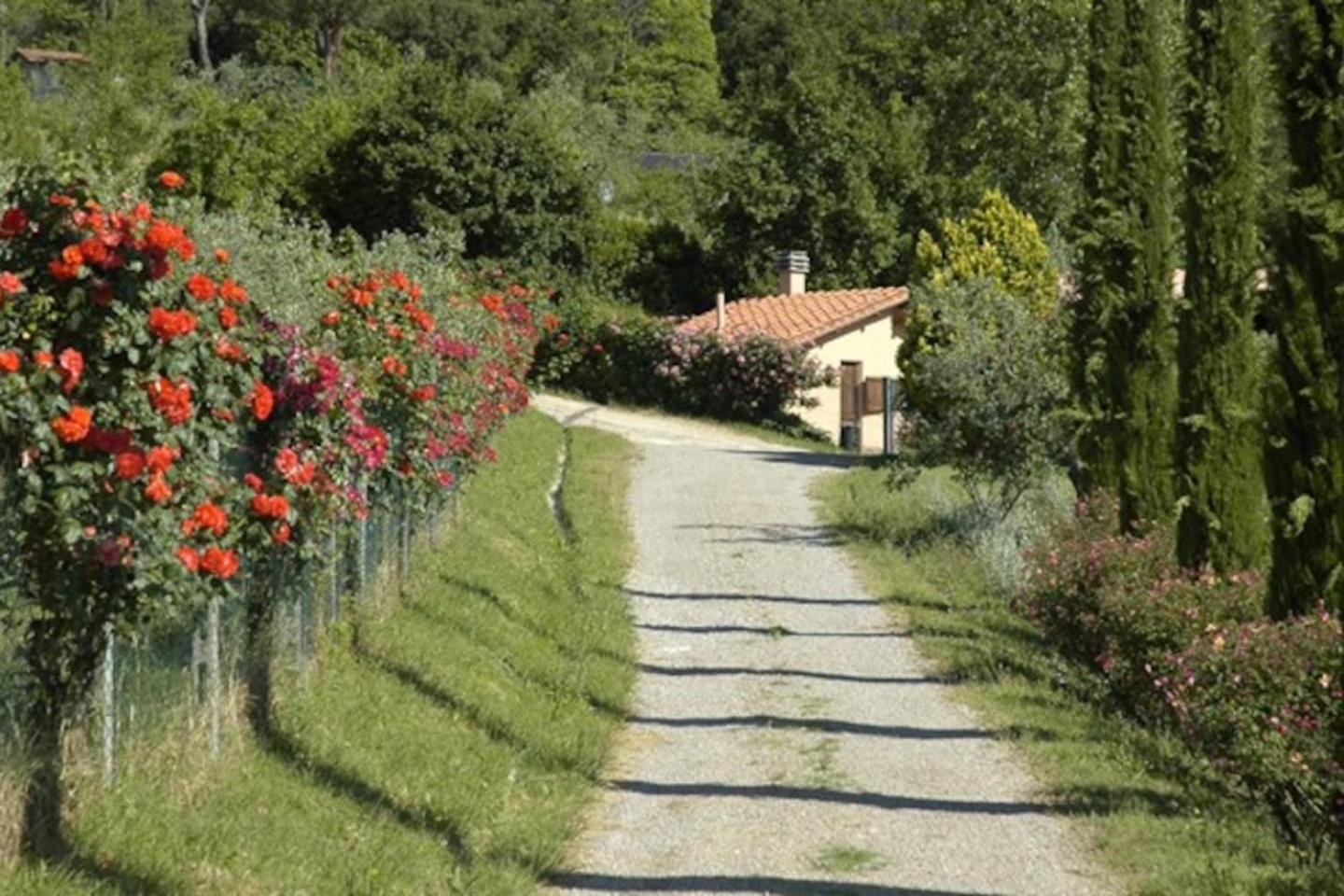 Agriturismo Fattoria Celle Figline Valdarno Phòng bức ảnh